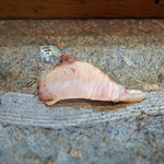 寿司栄 - 鰆（さわら）のたたき...藁でいぶしたもの