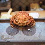 寿司栄 - 毛蟹のメス