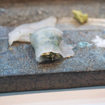 寿司栄 - カワハギの肝とアオサのり、浅葱をカワハギの刺身にくるんで