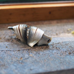 寿司栄 - 静岡産コハダの握り