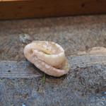 寿司栄 - 平目のエンガワ