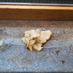 寿司栄 - 万寿貝