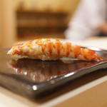 日本橋蛎殻町 すぎた - 車エビ