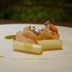 齋華 - 車海老とホワイトアスパラの塩味炒め　木の芽ソースと