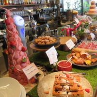 The Kitchen Salvatore Cuomo GINZA - 