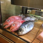 小魚料理 とみ助 - 