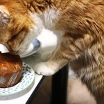 レストラン山崎 - ケーキもおいちいニャ