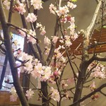 手打ちそば八轟 - 店内に桜が飾られていました