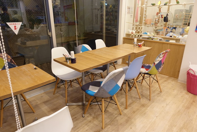 【みる】ことりのお食事処 ことりすまいる （【旧店名】ことりカフェ 心斎橋） - 心斎橋