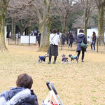 ボンダイカフェヨヨギビーチパーク - 