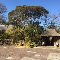九つ井 本店 - 