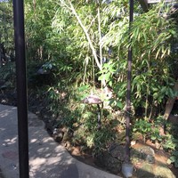 九つ井 本店 - 