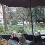 ザ・カフェ by アマン - テラス席