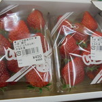 農産物直売所 こだま館 - こんないいのが安い！