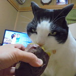 農産物直売所 こだま館 - めちゃ旨い！