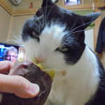 農産物直売所 こだま館 - これは止まりません！