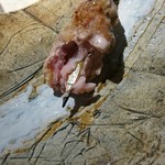 鳥旬・かがり火 - 