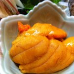 海鮮道楽たち花 - うに