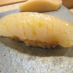 鮨 猪股 - コウイカ（スミイカ）