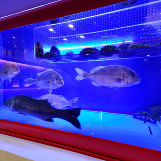 店内の大型水槽より活きの良い魚介類をお届け
