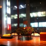 ドンナ・セルヴァーティカ - 祝！１周年