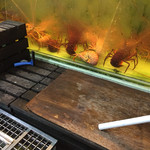 NO SIGNBOARD SEAFOOD Restaurant - 