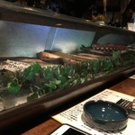 北の屯田の館 - ネタケース