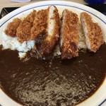 かつや - カツカレー梅ライス少なめ637円 → サービス券で537円