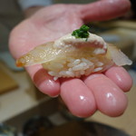 寿しの吉乃 - 2017.01 かわはぎ昆布ジメ、肝