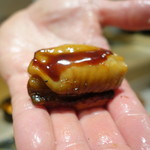 寿しの吉乃 - 2017.01 対馬列島産あなご、タレ