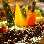 セララバアド - 冬の大地