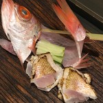 ふじや - のどぐろの炙り刺し