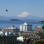 近くの高台からの眺め