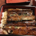 これが川豊のうな重