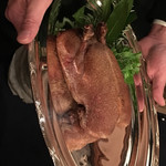 トゥールダルジャン - 