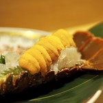 鞍馬口 寿星 - 伊勢海老造りと雲丹