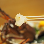 鞍馬口 寿星 - 伊勢海老造り