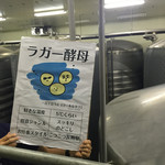 ヤッホーブルーイング - 