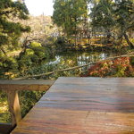 北鎌倉 円 - 2010年12月頭　円覚寺の池を眺める