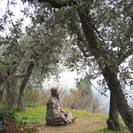 Ristorante La Stalla - 聖地です。お静かに！！