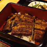 うな善 - 鰻丼