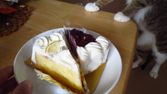 チェリーボンボン - 柏陽（ケーキ）の写真