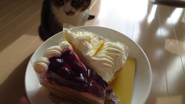 チェリーボンボン - 柏陽（ケーキ）の写真