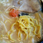 北海道らーめん 奥原流 久楽 - 麺。