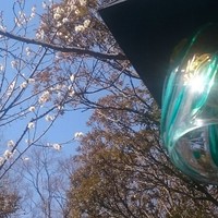 九つ井 本店 - 