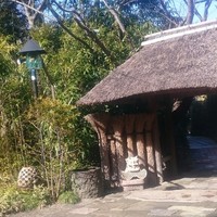 九つ井 本店 - 