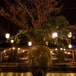 GONPACHI - 