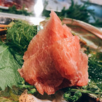 旬粋 誠 - トロの刺身