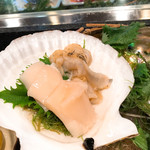 旬粋 誠 - ホタテ