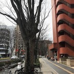 わでぃはるふぁ - 青葉通とお店外観